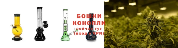 2c-b Гусь-Хрустальный