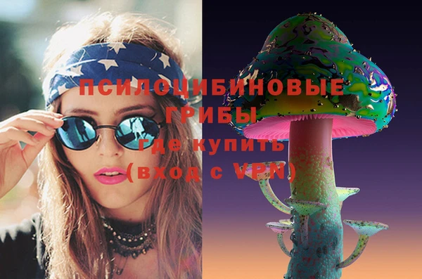 бошки Гусиноозёрск