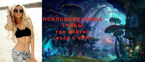 бошки Гусиноозёрск