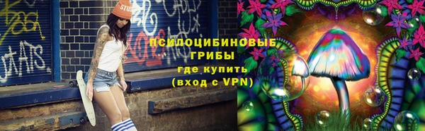 бошки Гусиноозёрск