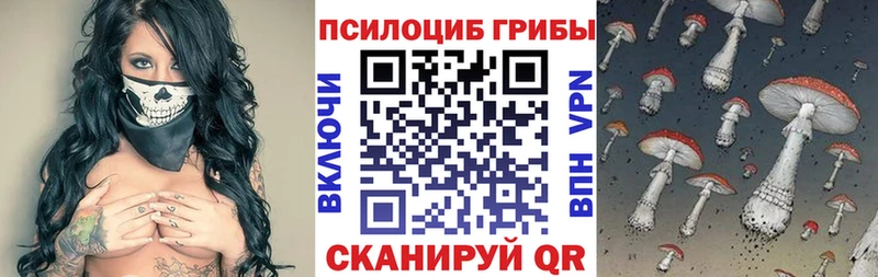 darknet состав  Хабаровск  Псилоцибиновые грибы Magic Shrooms 